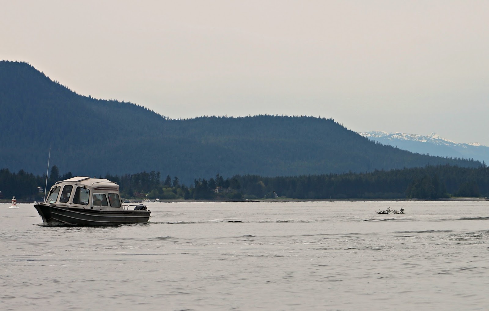 SANDRA'S ALASKA PHOTOGRAPHY May 26, 2013 A Day Fishing the Spring