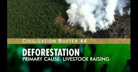 Destruction of forests essay