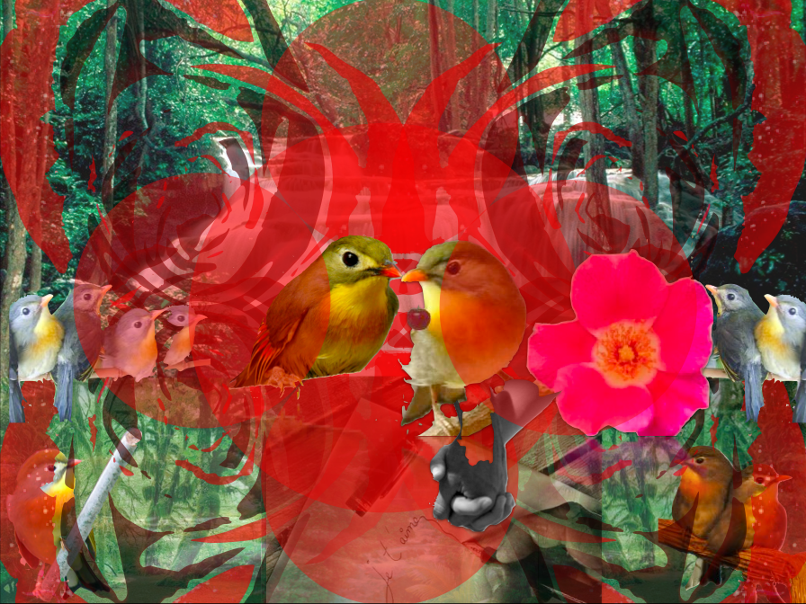 Creation+Chant1-Chant+du+Rossignol.png