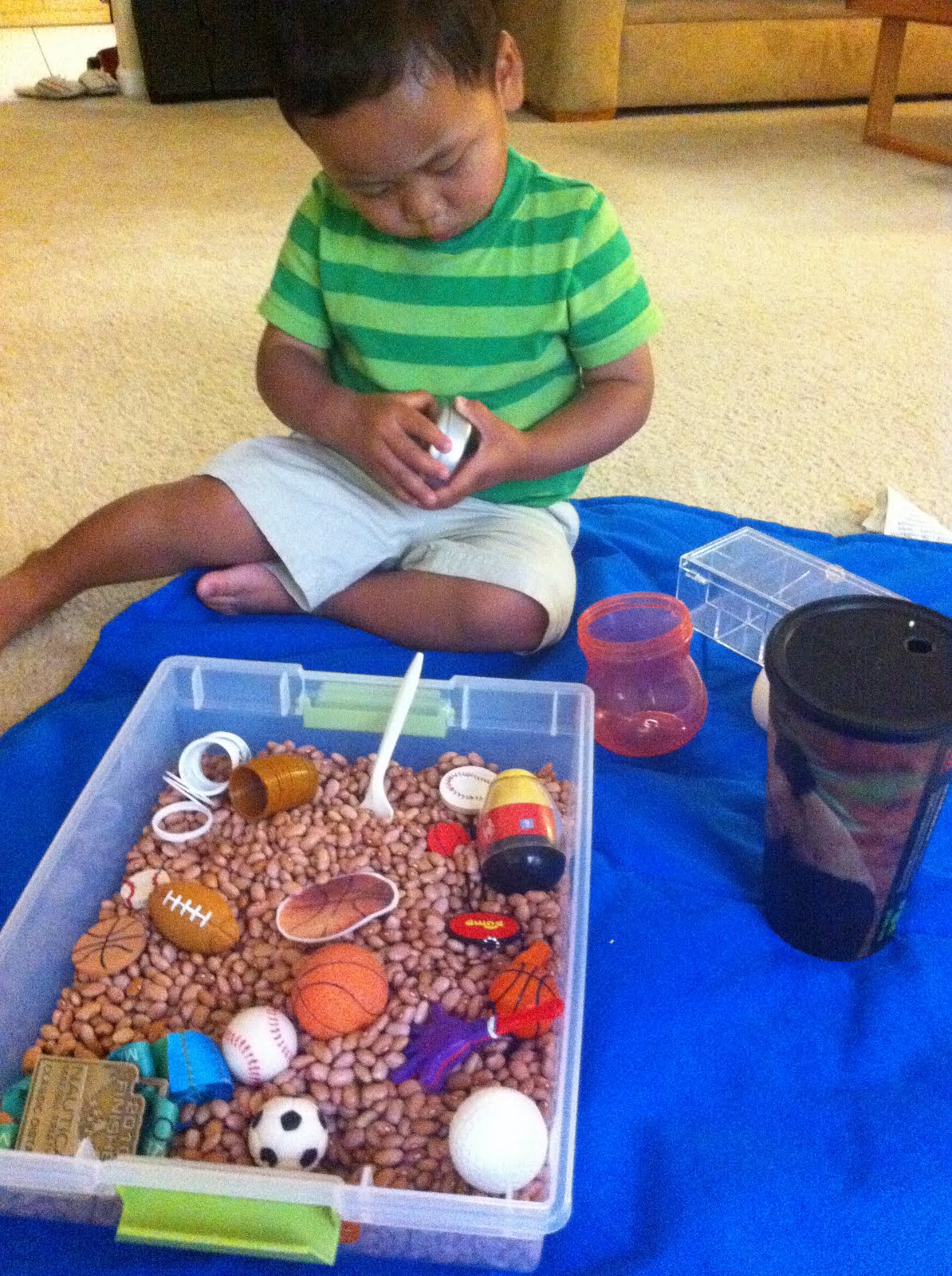 dibble dabble... Sensory Bins Sports & Bugs