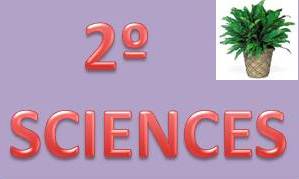 2º SCIENCES