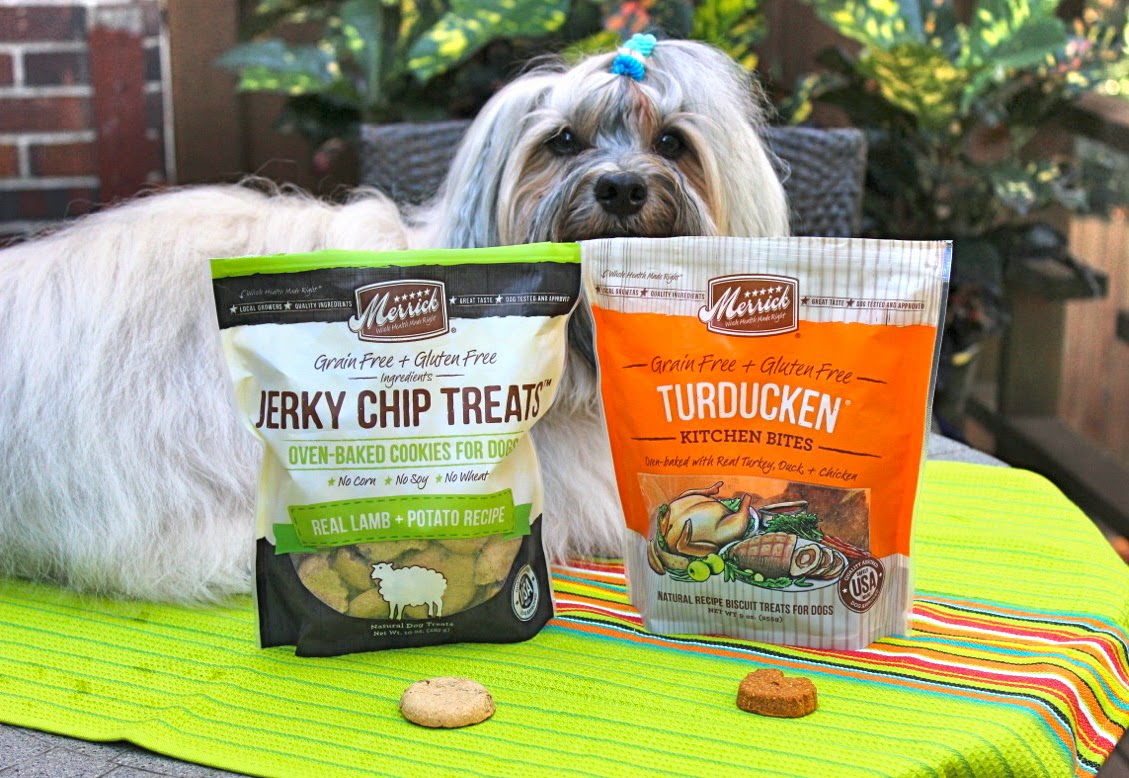 To Dog With Love Merrick Dog Treats Review An Occasion to TreatRight