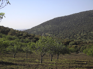 VISITAS GUIADAS- PAISAJES