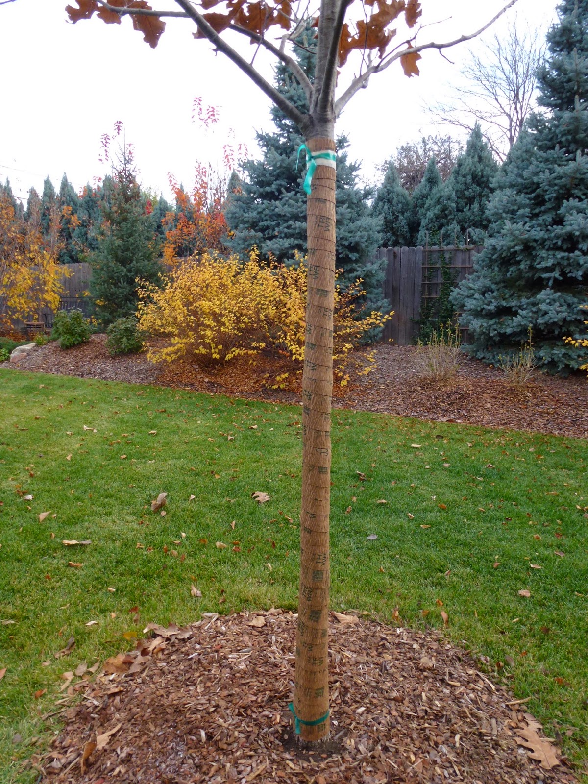 Colorado Garden Punch List Don't to Wrap