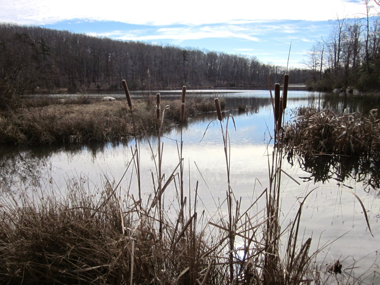 Travel NC With Kids NC Zoo Oh the Sites You'll See in the Winter!