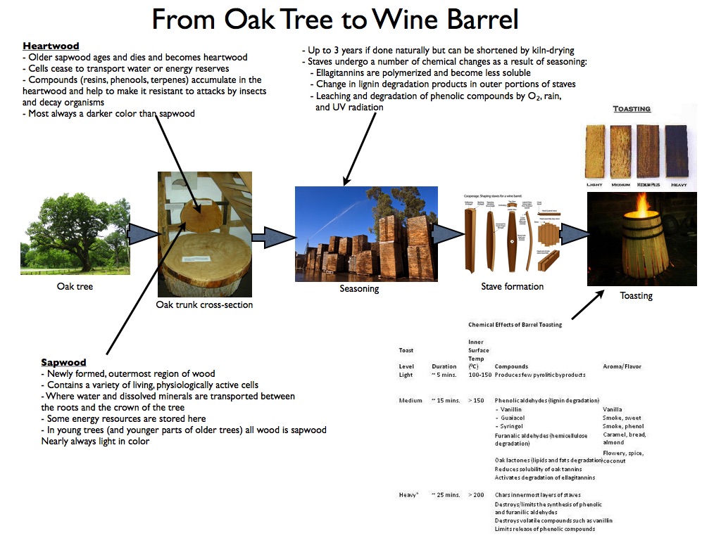 Wine Mise en abyme Barrelfermented and aged white wines