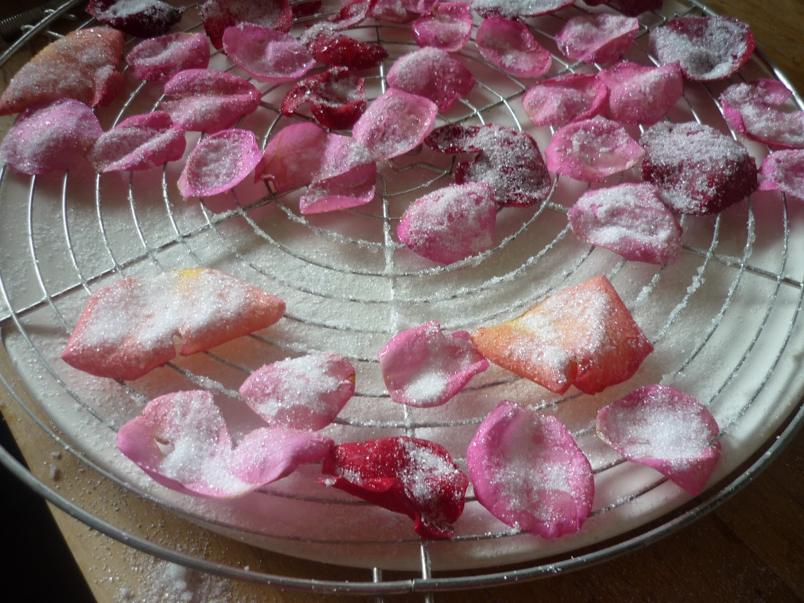 Pétales de rose cristallisés - La recette avec photos - Meilleur