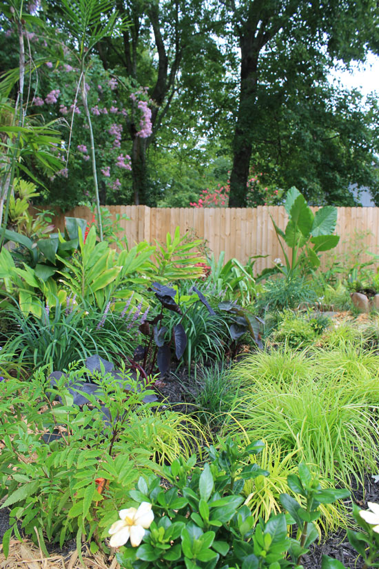 The Rainforest Garden 7 Ways to Fix an Ugly Garden with Plants
