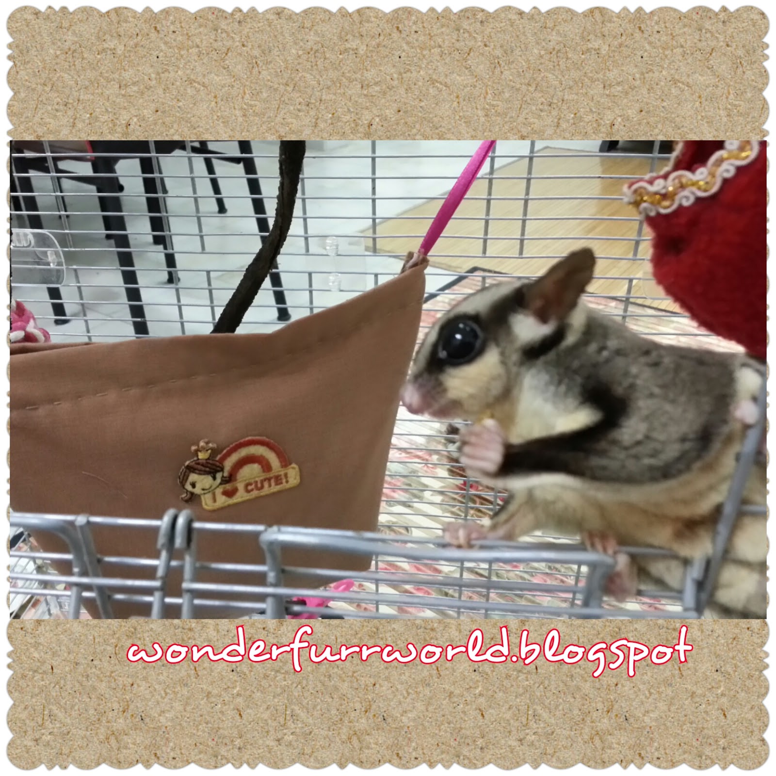 wonderFURRworld > DIY SUGAR GLIDER SLEEPING POUCH