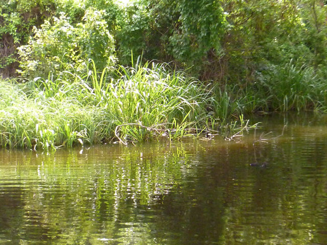 secluded places to hook up near me Disclaimer: romantic dining restaurants near me ltd attempts to provide accurate and up-to-date information in good faith, however cannot guarantee the information will always be accurate, complete and up-to-date. secluded places to hook up near me Disclaimer: romantic dining restaurants near me ltd attempts to provide accurate and up-to-date information in good faith, however cannot guarantee the information will always be accurate, complete and up-to-date.