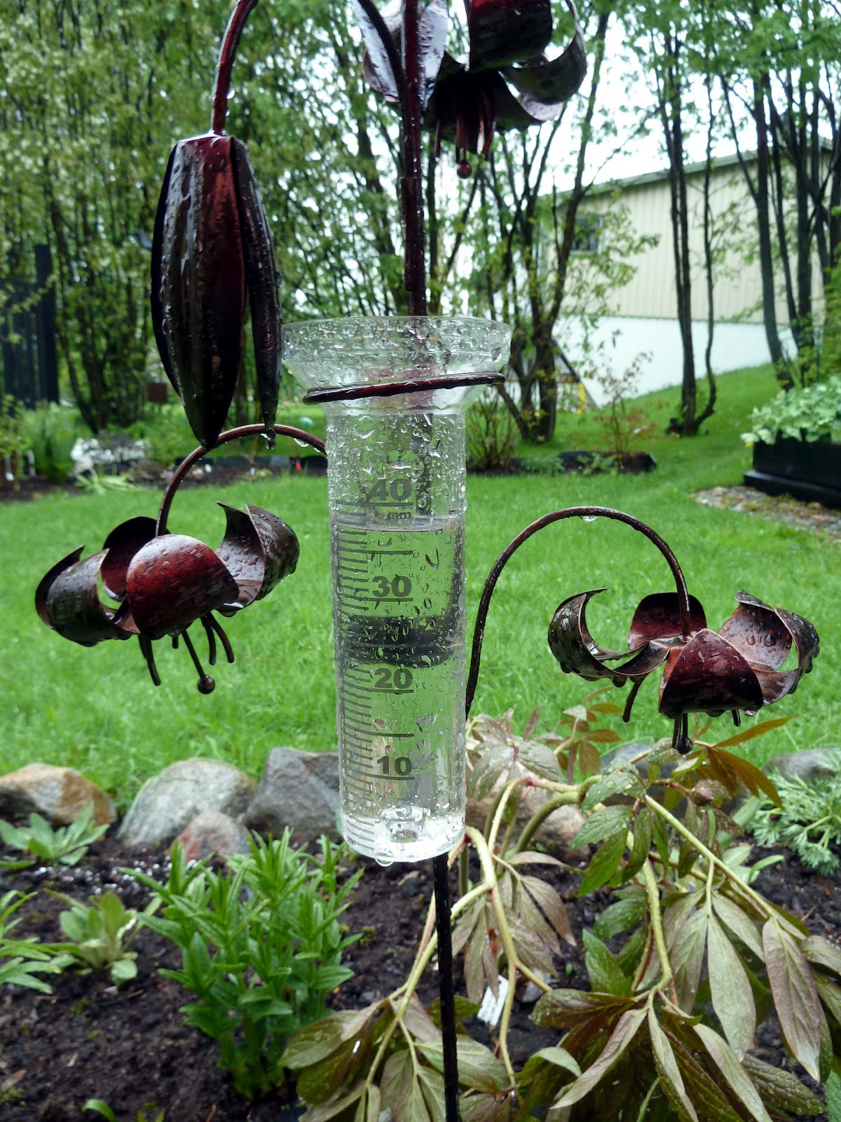 Tankar om och från min trädgård.: regn, regn , regn och storm.