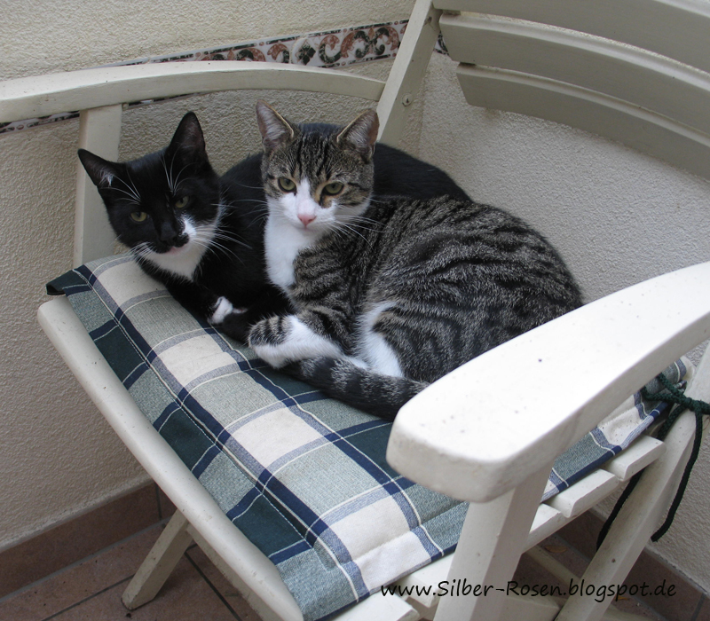 Georgia South Caucasus Facebook