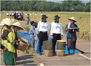 DANDIM 0725/SRAGEN MENGHADIRI GIAT PANEN RAYA PERDANA PROGRAM SRI ( SYSTEM OF RICE INTENSIFICATION