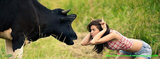fuuny cow girl