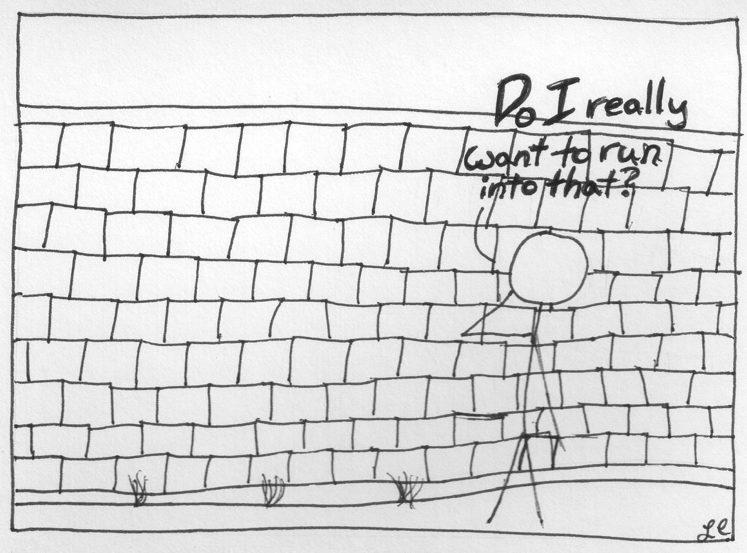 True Story Running into a Brick Wall