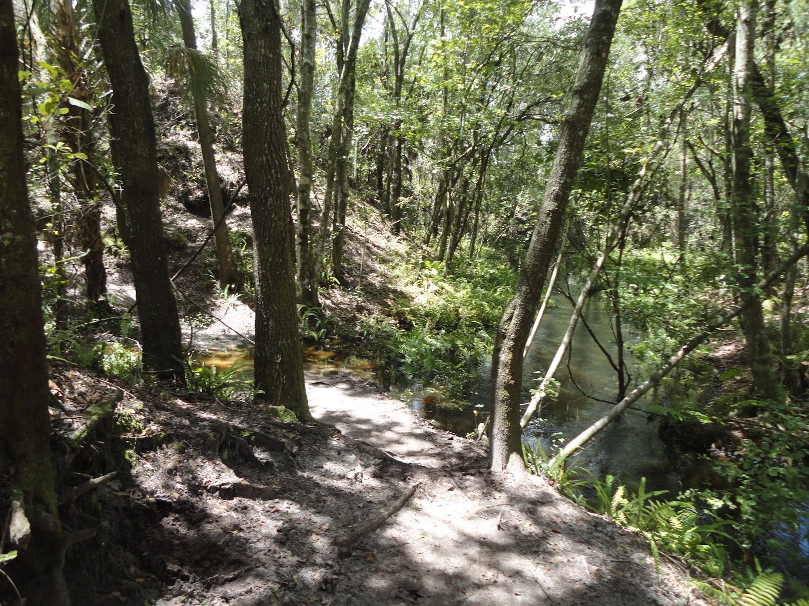 alafia mountain bike trail