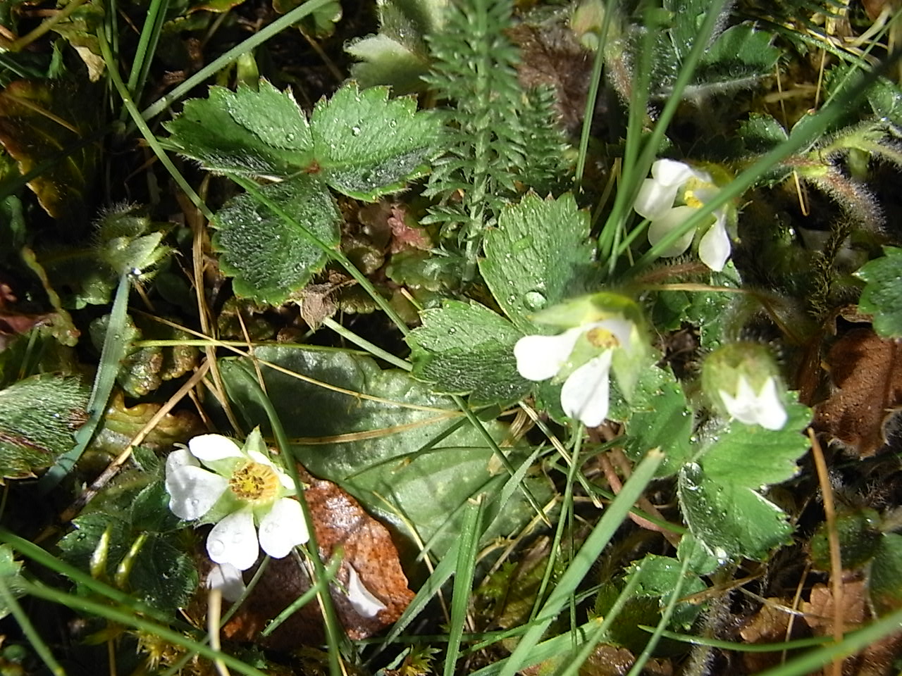 quatre saisons quelques vues, du jour... et de la nuit...