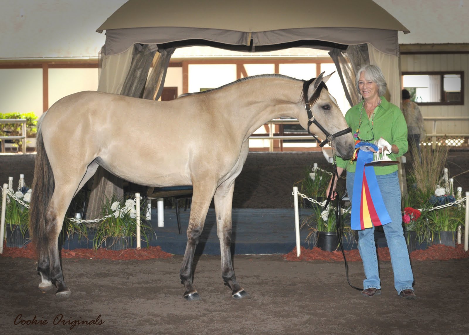 Judy's News from Yancey Farms May 2011