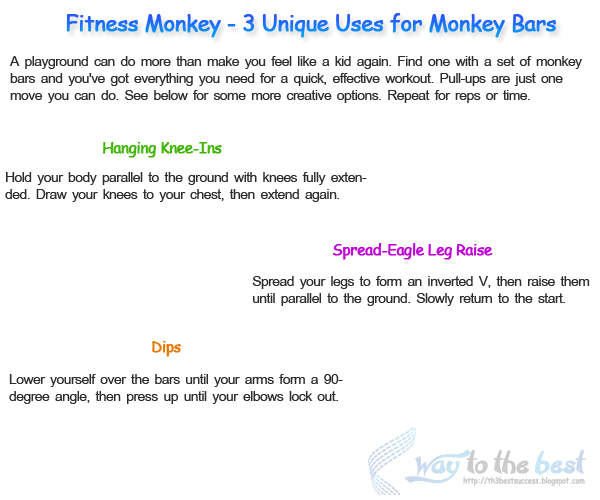 Fitness Monkey