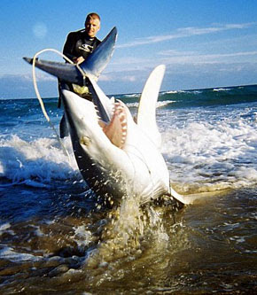 Shark-Fishing