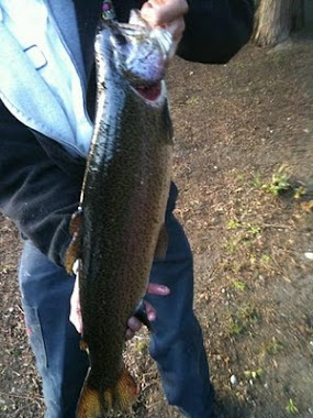 Washington 6 pounder