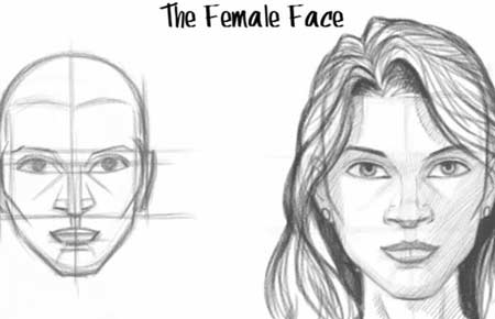 How to Draw the Female Face