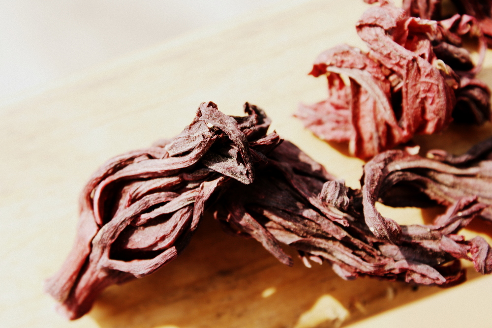 Jennifer Murch rosa de jamaica tea