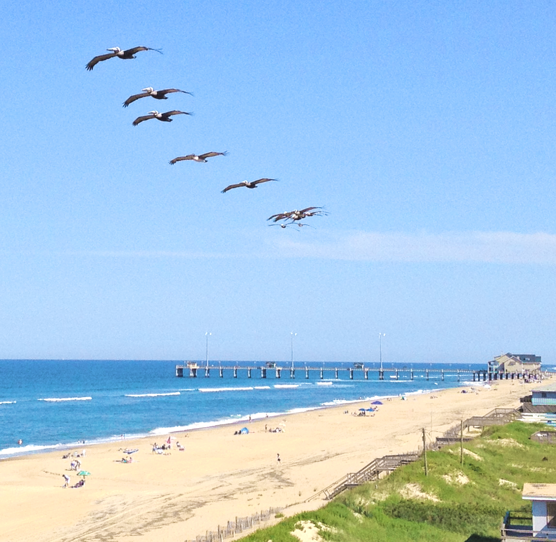 Outer Banks North Carolina Vacation Rentals, Activities, Hotels, Restaurants, etc.