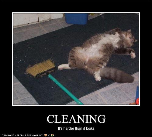 funny-pictures-cleaning-is-very-hard.jpg
