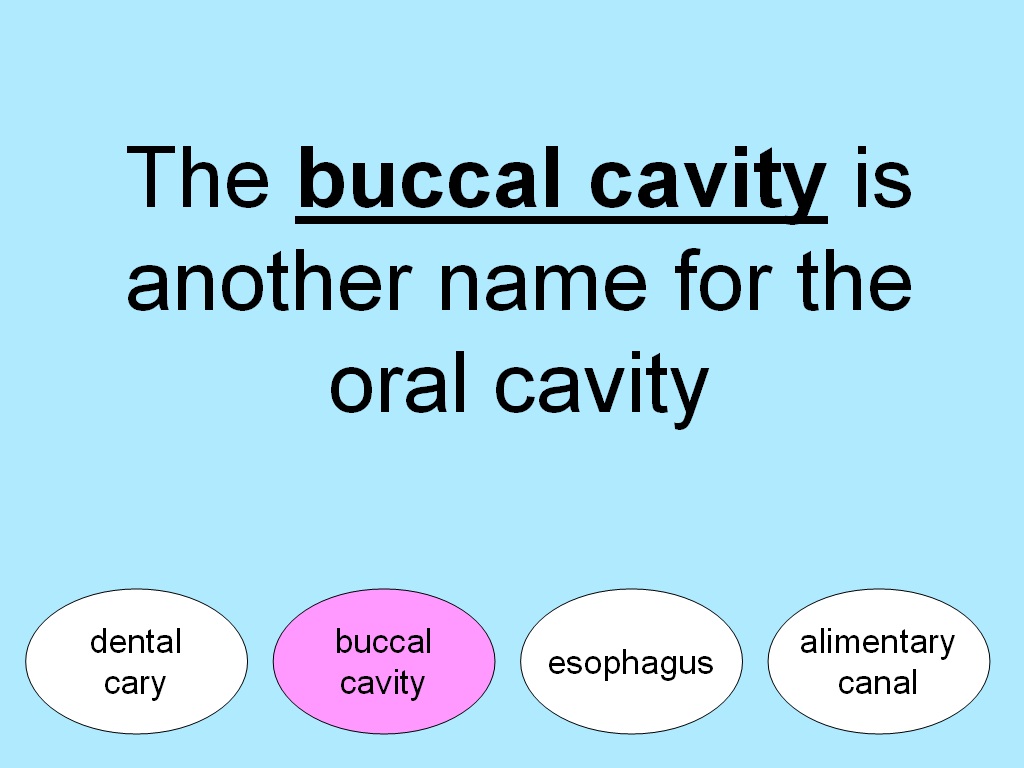 Student Survive 2 Thrive Free Medical Terminology Practice Test