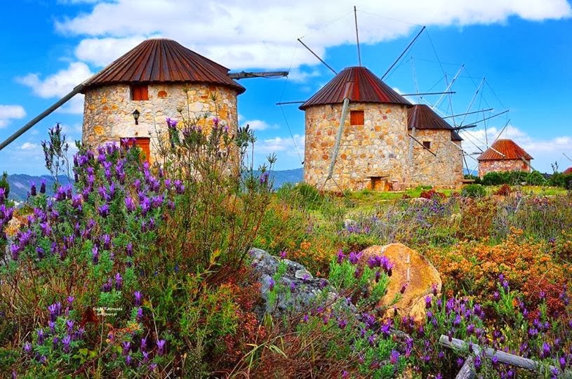 Portugal Roteiros Alternativos Penacova