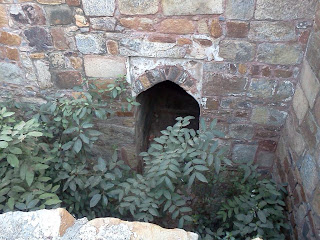 Purana Qila Delhi Pictures