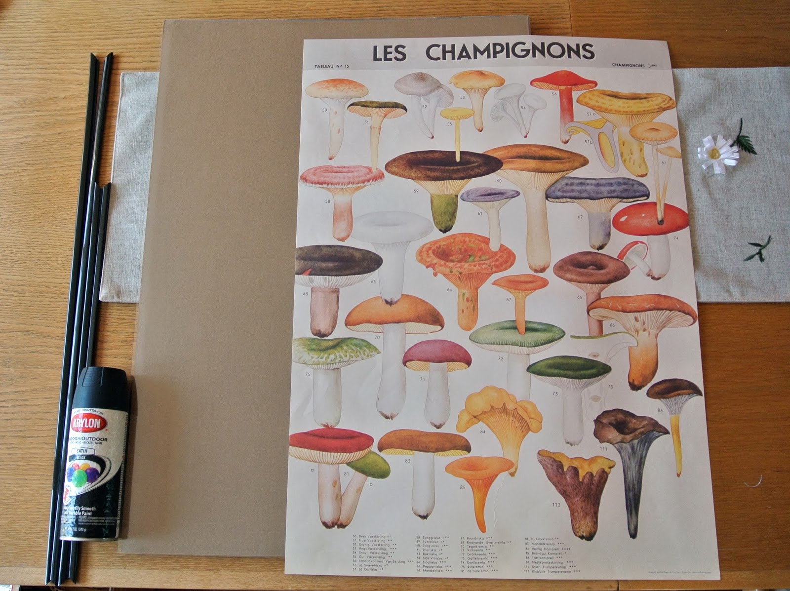 birdie feathers Chic & Cheap Wall Art DIY