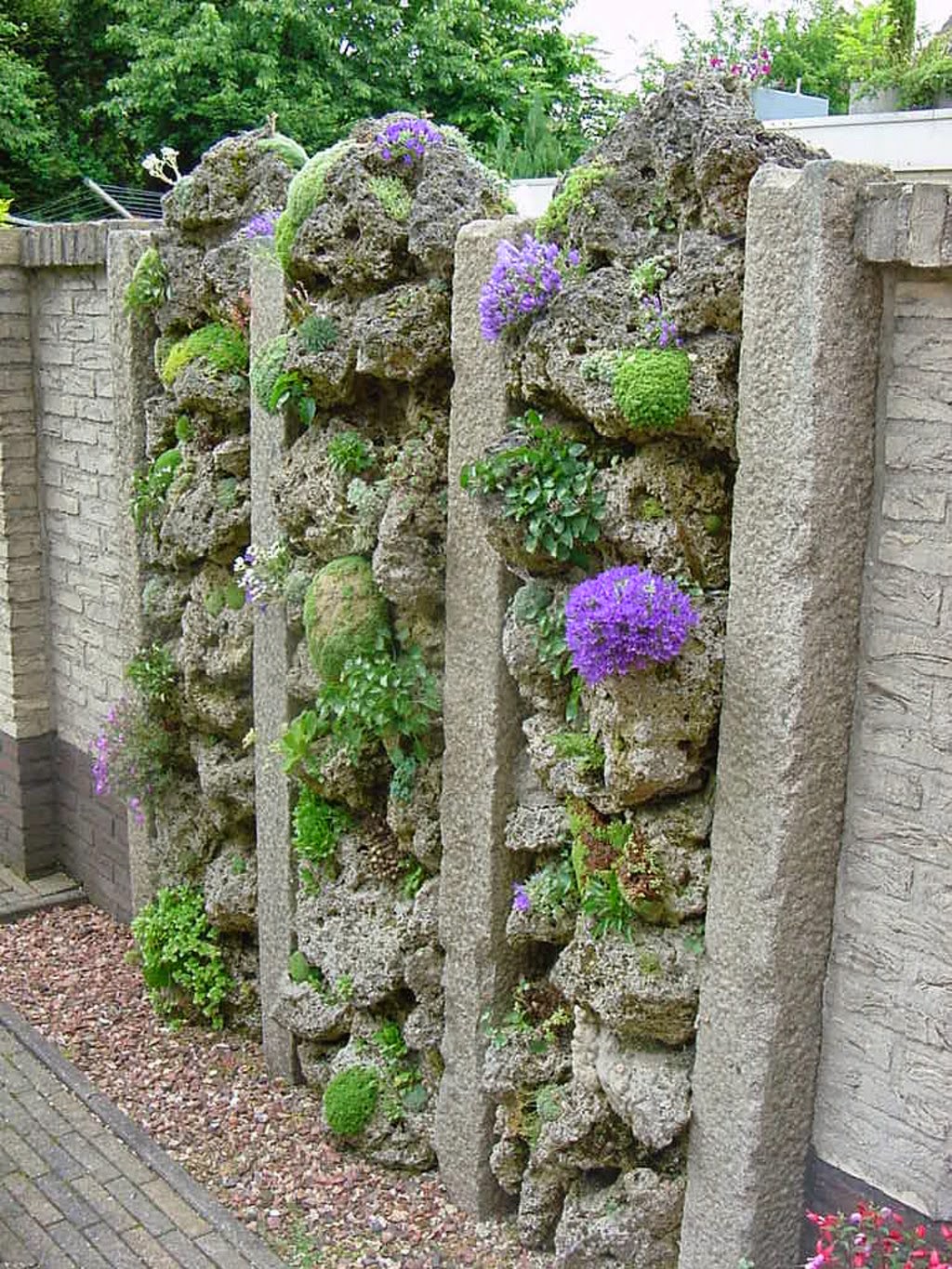 Noel's Garden Blog Where have all the alpines gone?