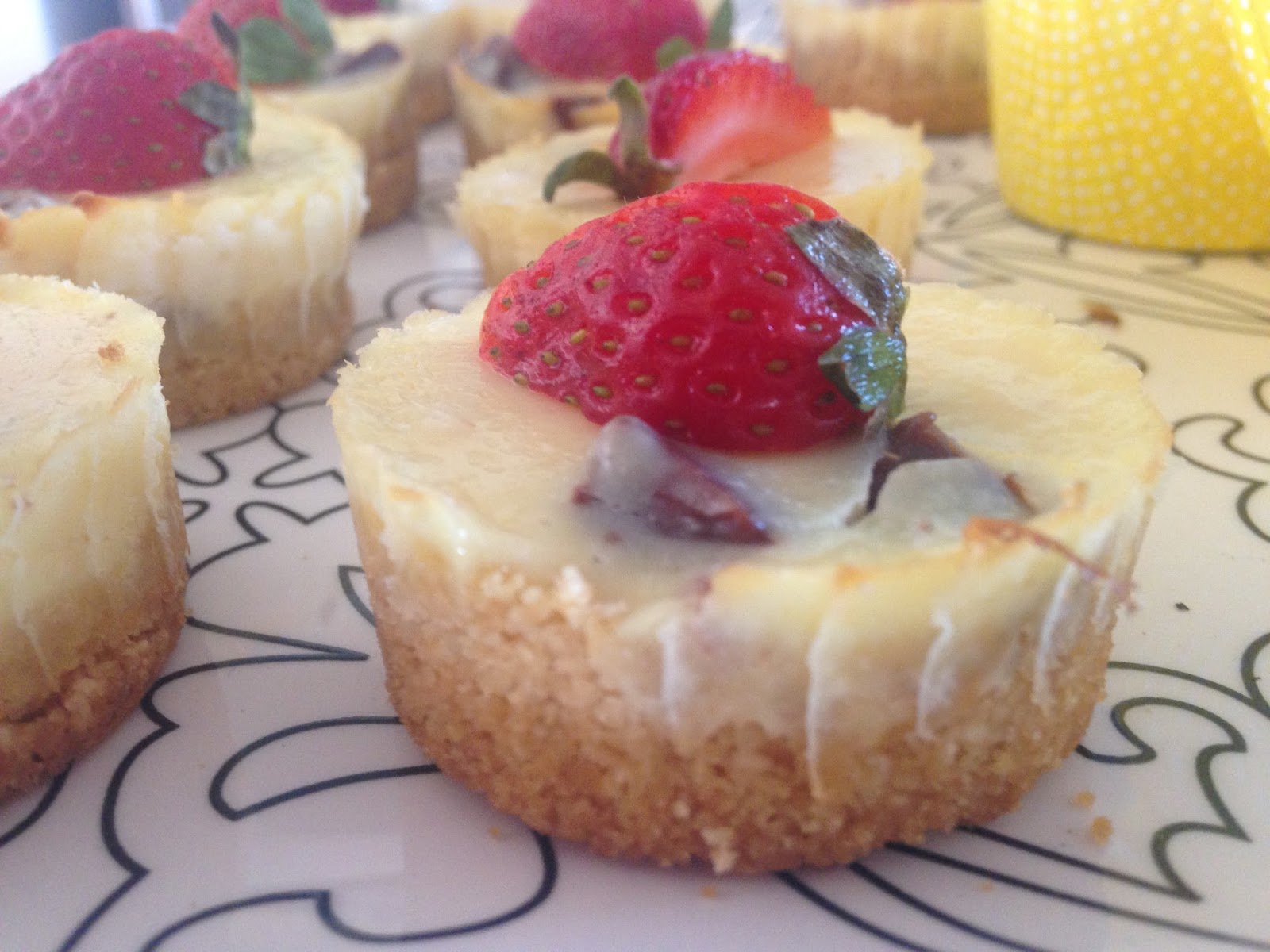 Baked yoghurt chocolate cheesecake