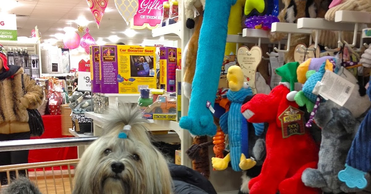 To Dog With Love DogFriendly Shopping at Home Goods