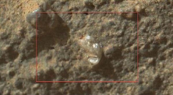 Akhirnya Terungkap Kalau di Mars Ada Kehidupan