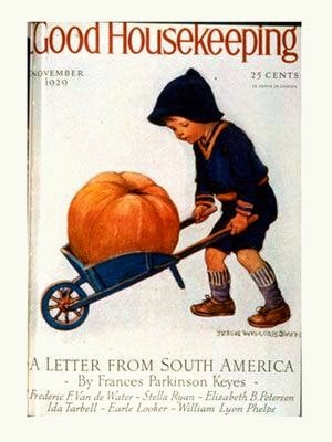 Farm Girl Pink Vintage Fall Goodness