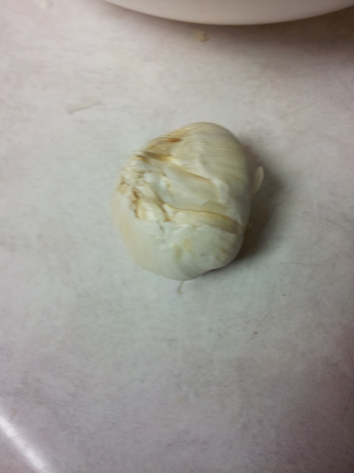 the leopard lizard Garlic