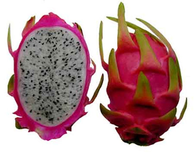 Khasiat Buah Naga 