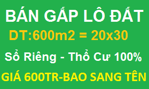 CẦN TIỀN BÁN GẤP GIÁ RẺ