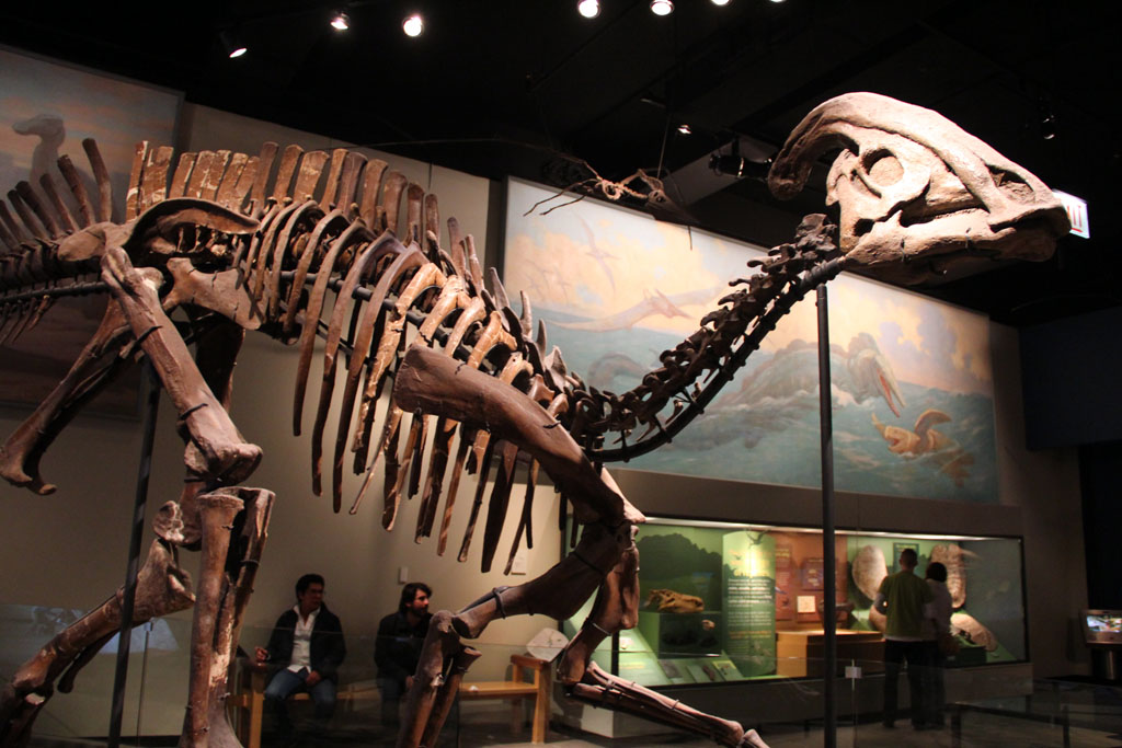 Field Museum Hall of Dinosaurs