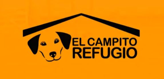 refugio el campito, hogar de perros refugio el campito, hogar de perros