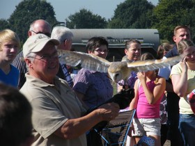 Bocholt Und Mehr Kurbisfest Vogel Flugshow De Valkenhof