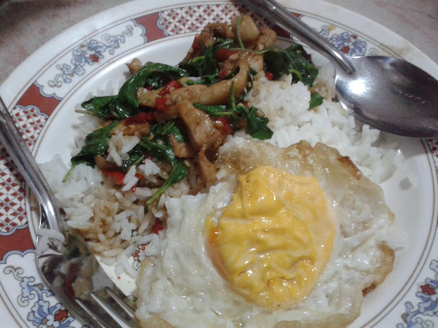 ข้าวกระเพราไก่ ไข่ดาว ข้าวกระเพราไก่ ไข่ดาว