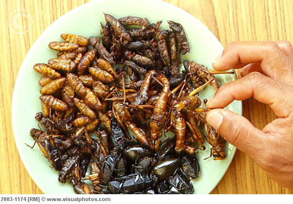 Edible_Fried_Bugs_Thailand_2003-1174.jpg