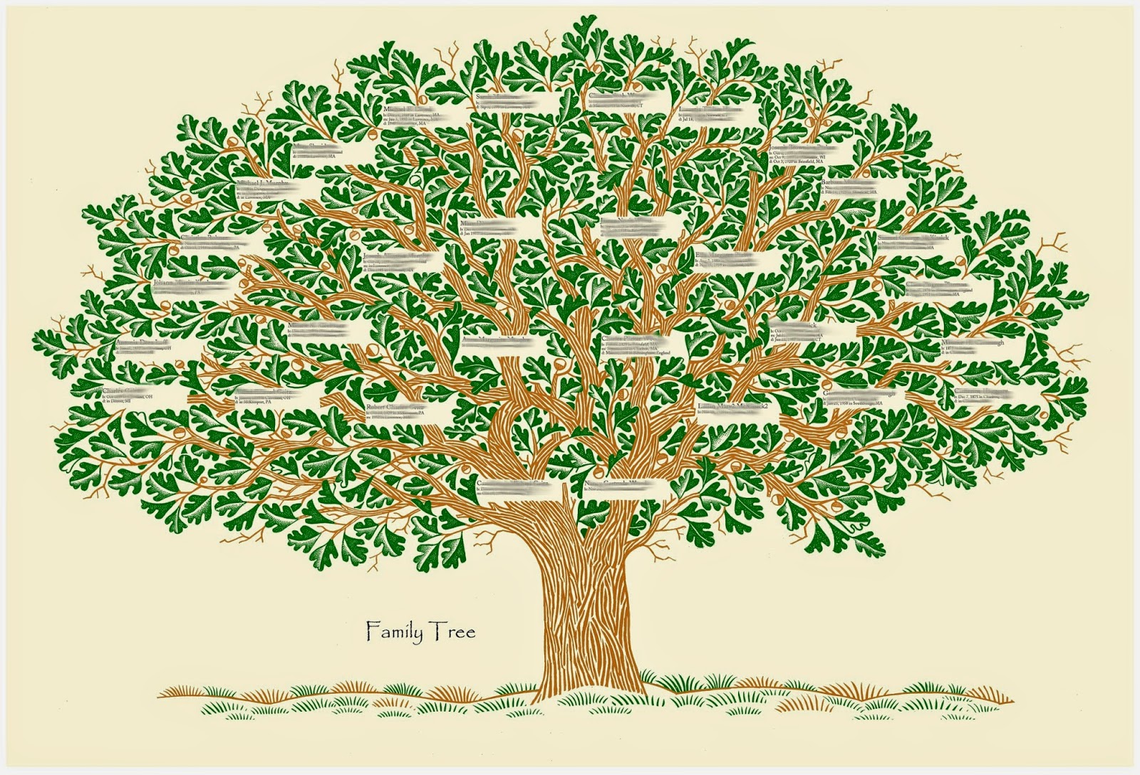 Scripture for Today Matthew 1 the Family of Jesus Christ