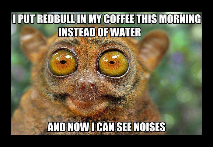 i-put-redbull-in-my-coffee-this-morning-instead-of-water.jpg