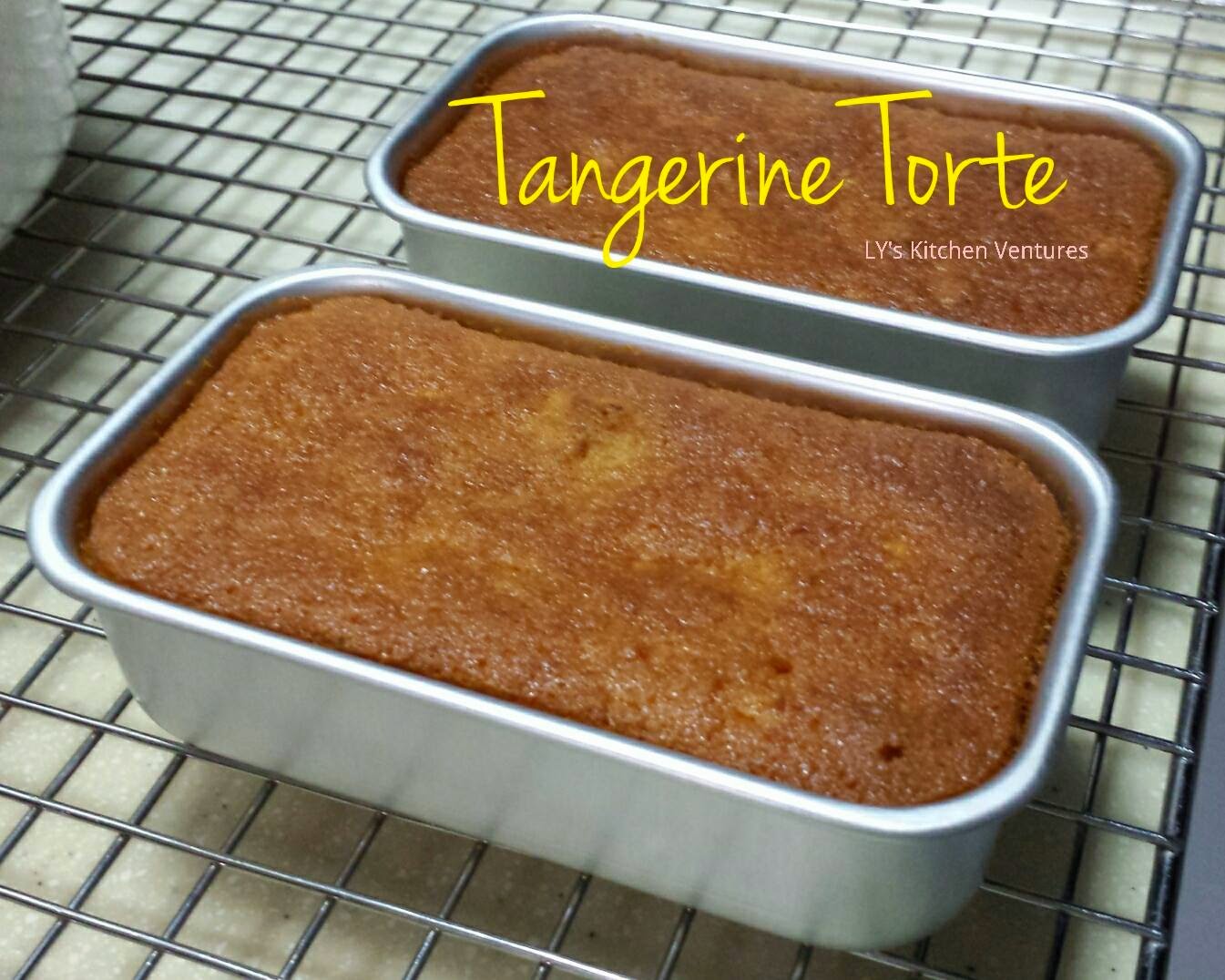LY's Kitchen Ventures Tangerine Torte