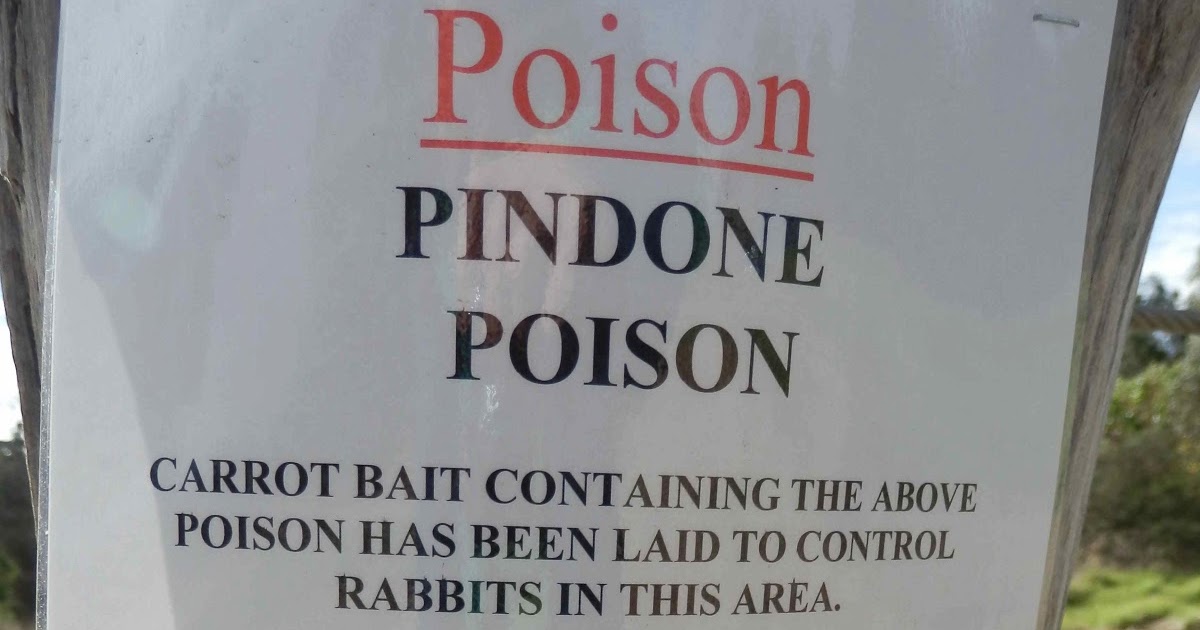 my dog dogs and rabbit poison